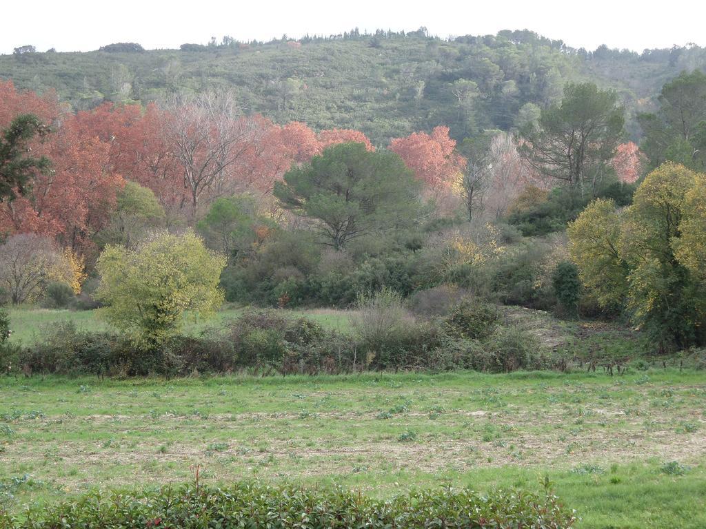 Appart'17-Domaine De La Source Uzès Pokój zdjęcie